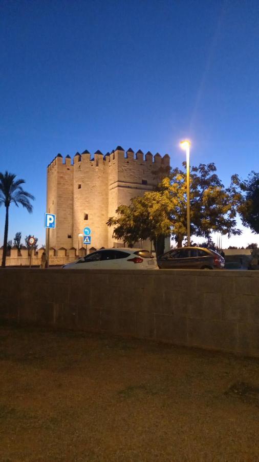Apartamento Andalucia Кордова Екстер'єр фото